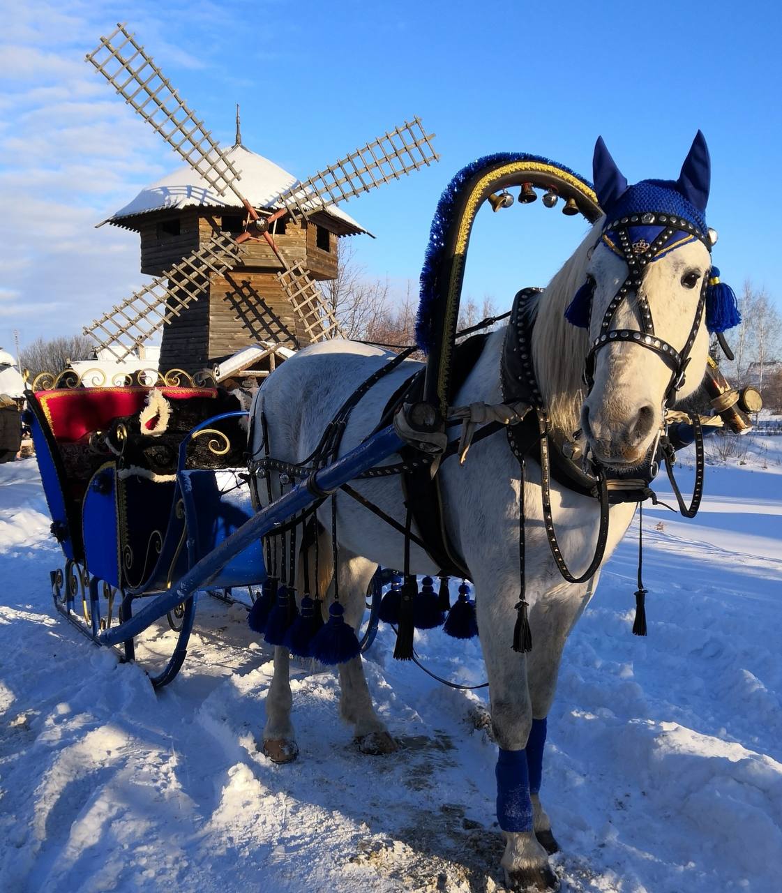 Конное такси по Суздалю